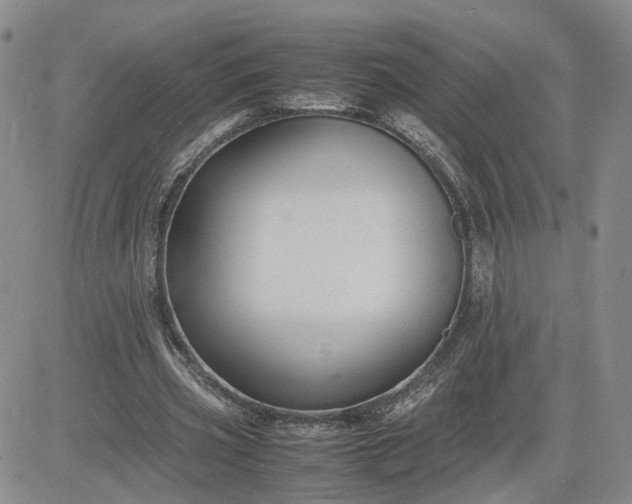X0000083660533200702261144
