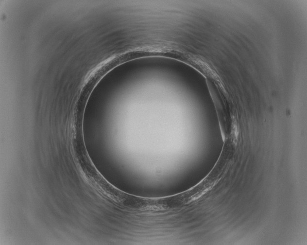 X0000083660536200702261144
