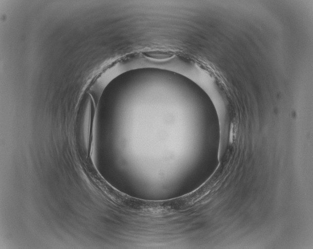 X0000083660540200702261144
