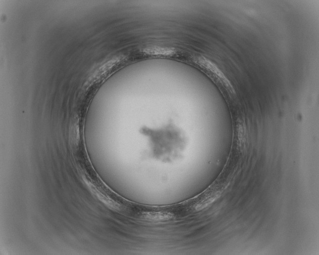 X0000083660541200702261144