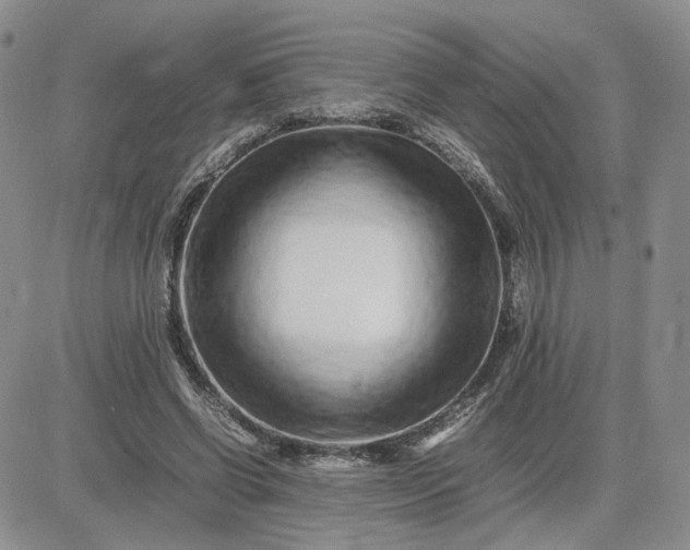 X0000083660542200702261144