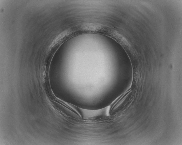 X0000083660544200702261144
