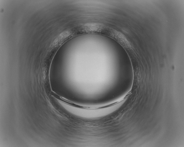 X0000083660546200702261144
