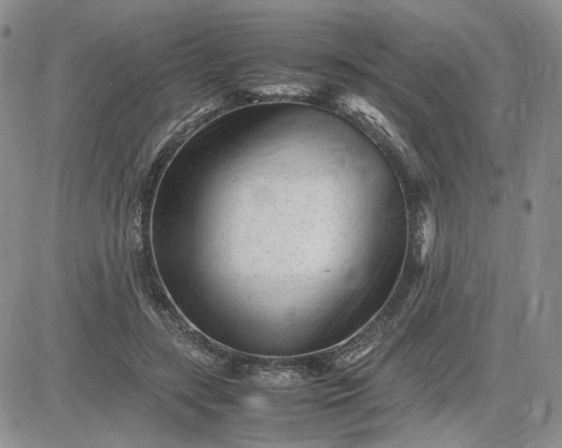 X0000083660547200702261144