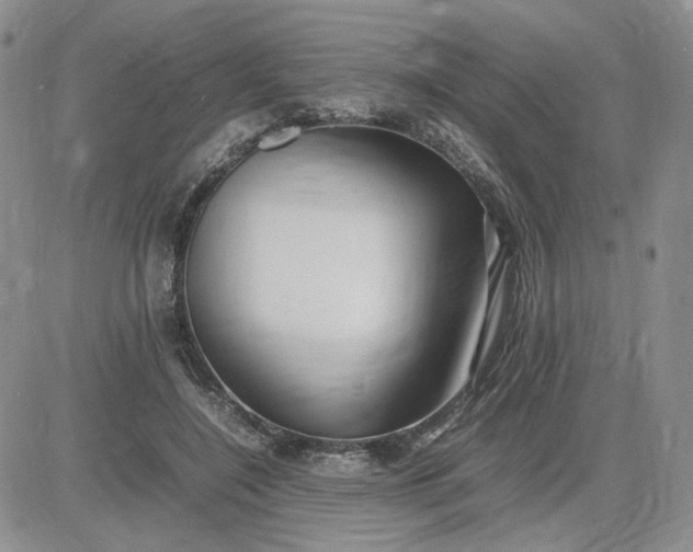 X0000083660548200702261144