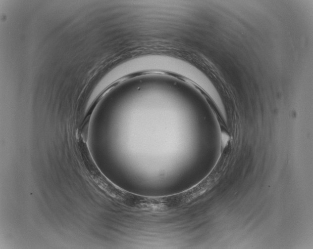 X0000083660552200702261144