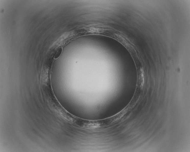 X0000083660554200702261144