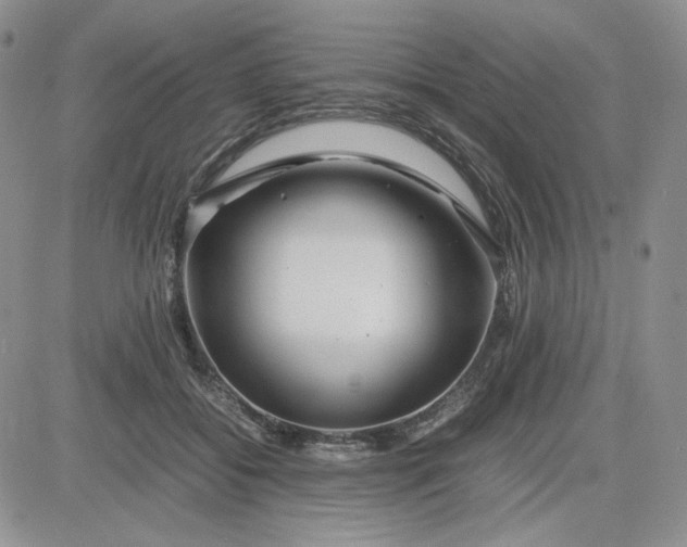 X0000083660556200702261144