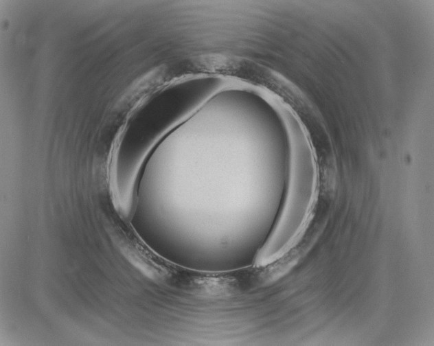 X0000083660558200702261144