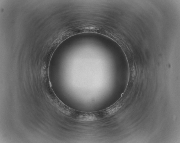 X0000083660559200702261144
