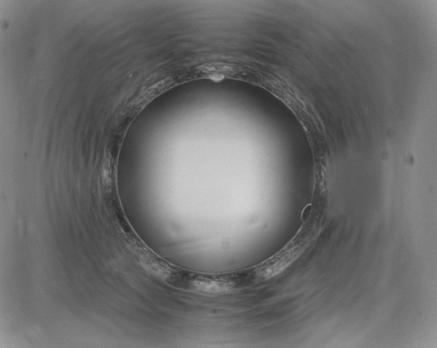 X0000083660561200702261144