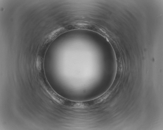 X0000083660562200702261144