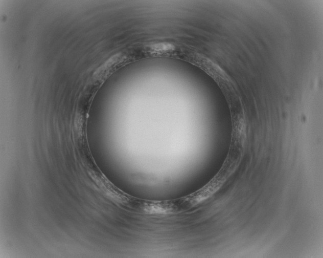X0000083660565200702261144