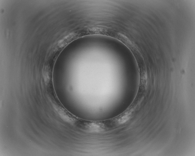 X0000083660566200702261144