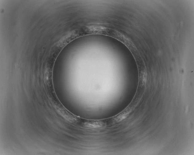 X0000083660567200702261144