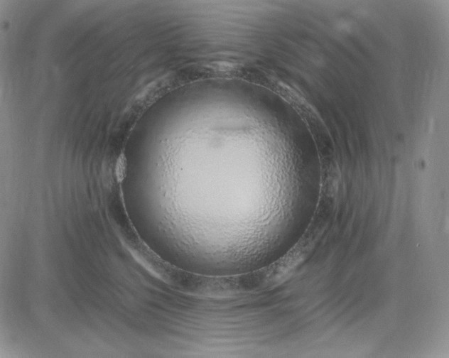 X0000083660568200702261144