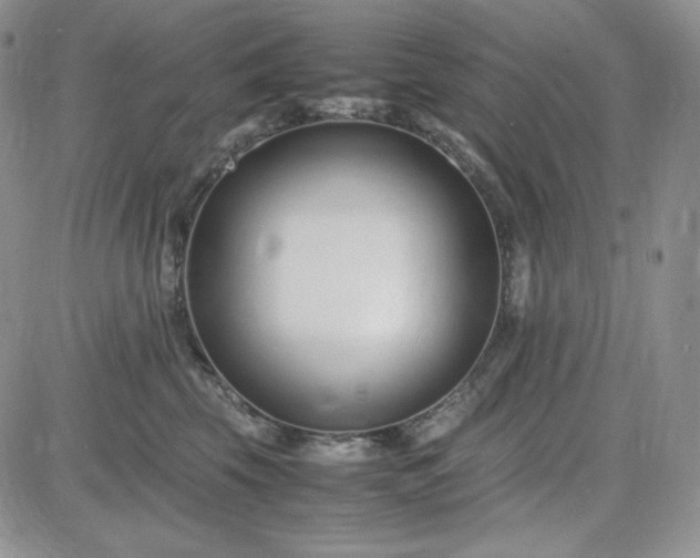 X0000083660569200702261144
