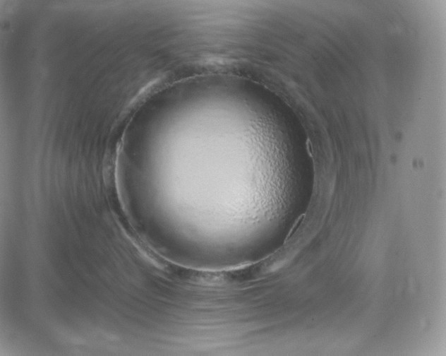 X0000083660576200702261145