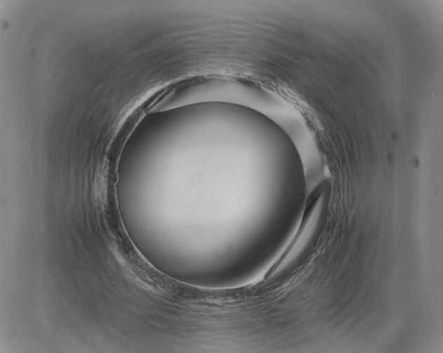 X0000083660580200702261144