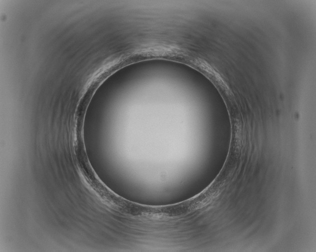 X0000083660582200702261144