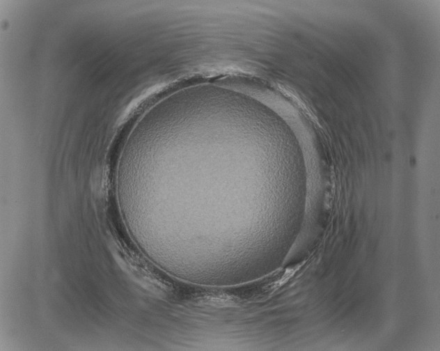 X0000083660583200702261144