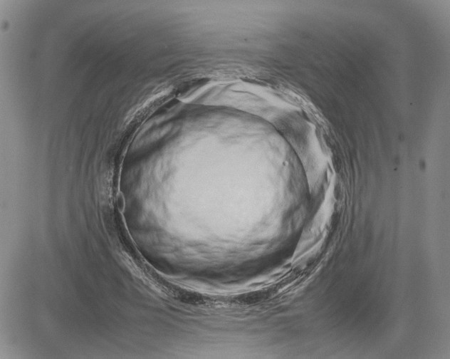 X0000083660585200702261144