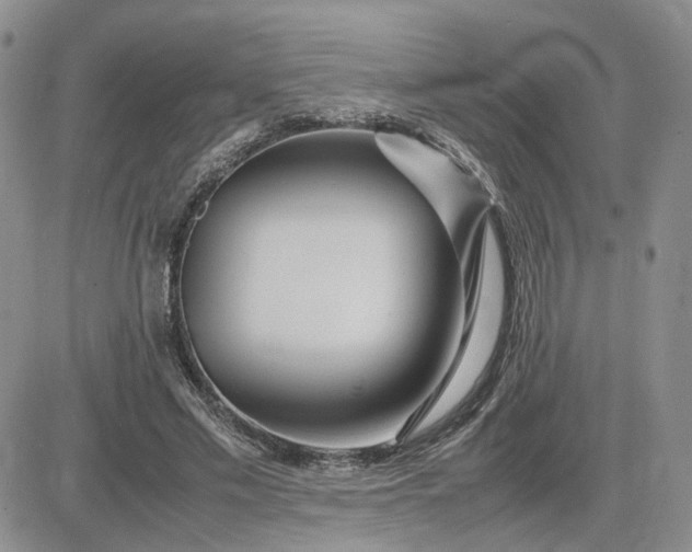 X0000083660589200702261144