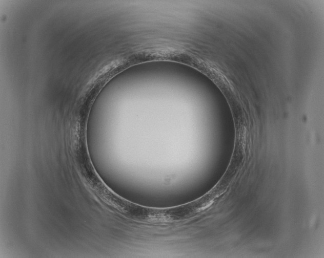 X0000083660591200702261144