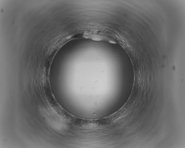 X0000083660594200702261144