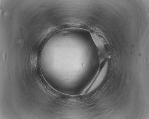 X0000083660596200702261143