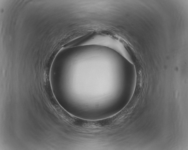 X0000083660597200702261143