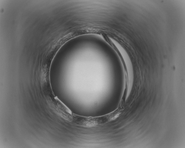 X0000083660604200702261143