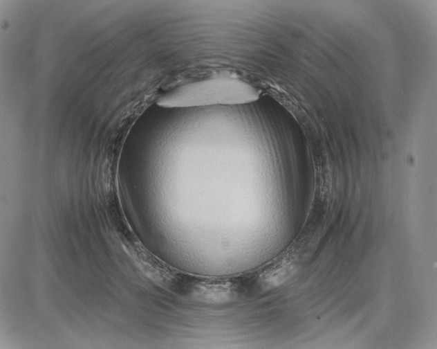 X0000083660606200702261143