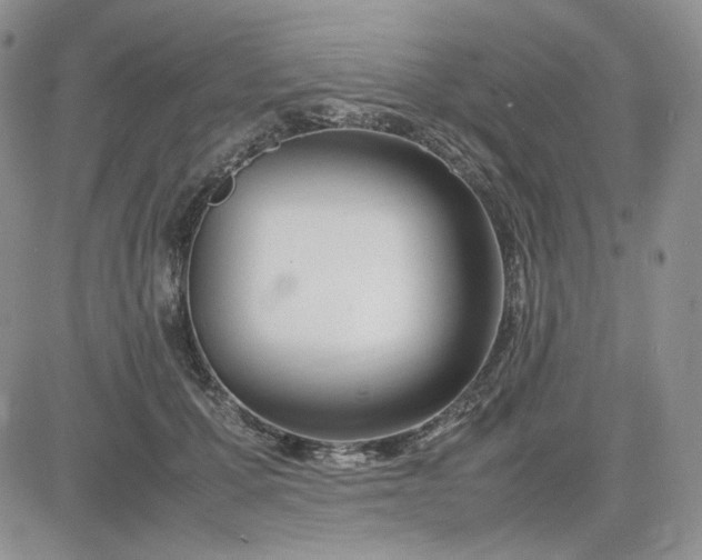 X0000083660607200702261143
