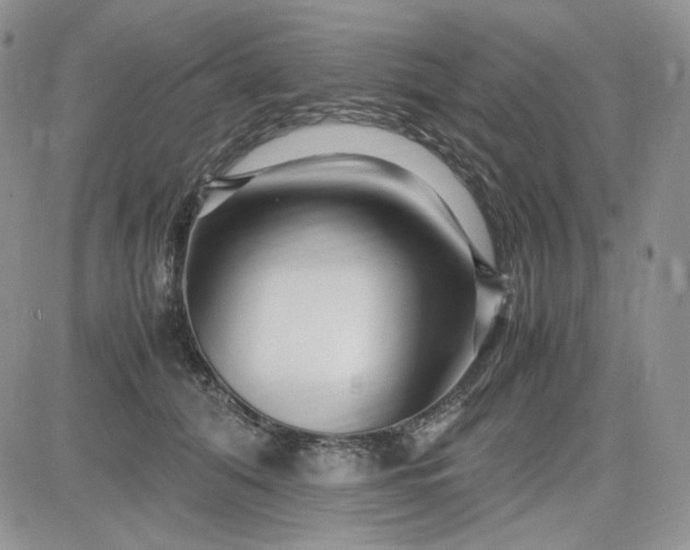 X0000083660608200702261143