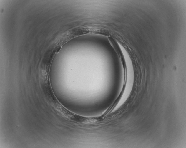 X0000083660609200702261143