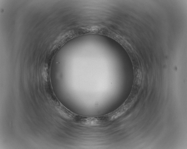 X0000083660612200702261143