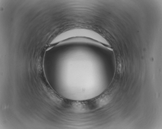 X0000083660616200702261143