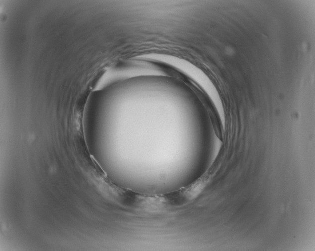 X0000083660621200702261143