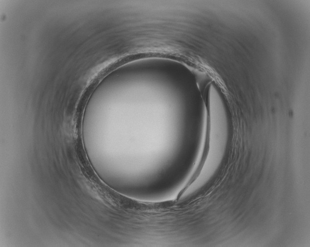 X0000083660628200702261142