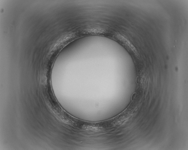 X0000083660635200702261142