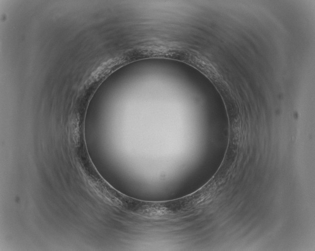 X0000083660642200702261143