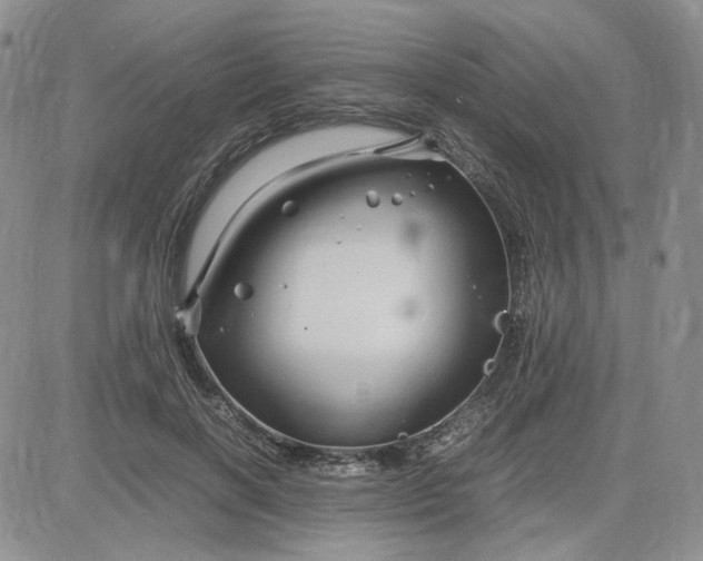 X0000083660646200702261143