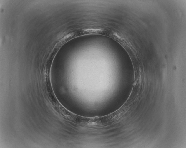 X0000083660647200702261143