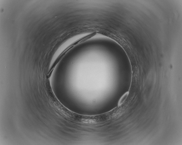 X0000083660649200702261143