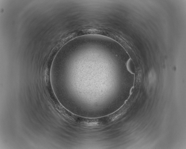 X0000083660651200702261143