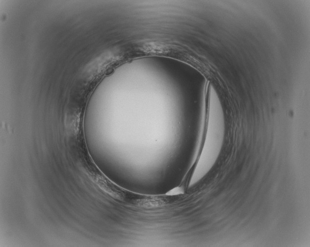 X0000083660652200702261143