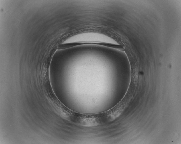 X0000083660653200702261143