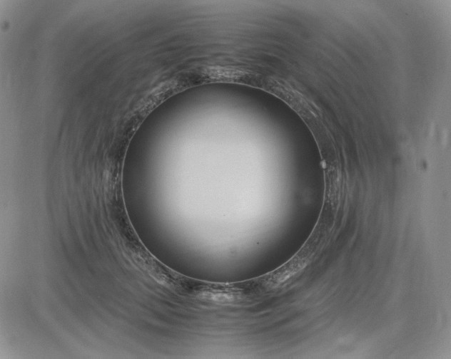 X0000083660655200702261143