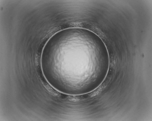 X0000083660658200702261143